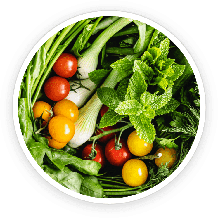 Sodium Copper Chlorophyllin — natural source